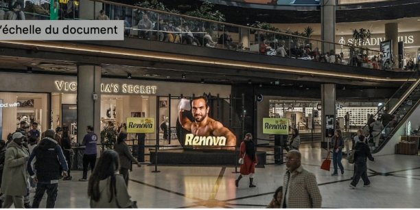 Renova